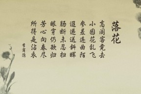 华体会网址-最后一秒的呼吸，2026世界杯D组，挪威的北极光与孙兴慜的东方利刃