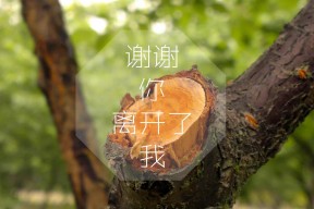 华体会-黑马狂飙，加纳碾压匈牙利，维尼修斯压哨绝杀书写2026世界杯传奇