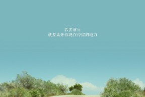 华体会登录-一击封神，萨卡绝杀，比利时踏碎法兰西的2026半决赛之夜