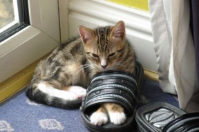 华体会体育-绝杀之夜，萨内一箭定乾坤，瑞典暗度陈仓带走阿森纳