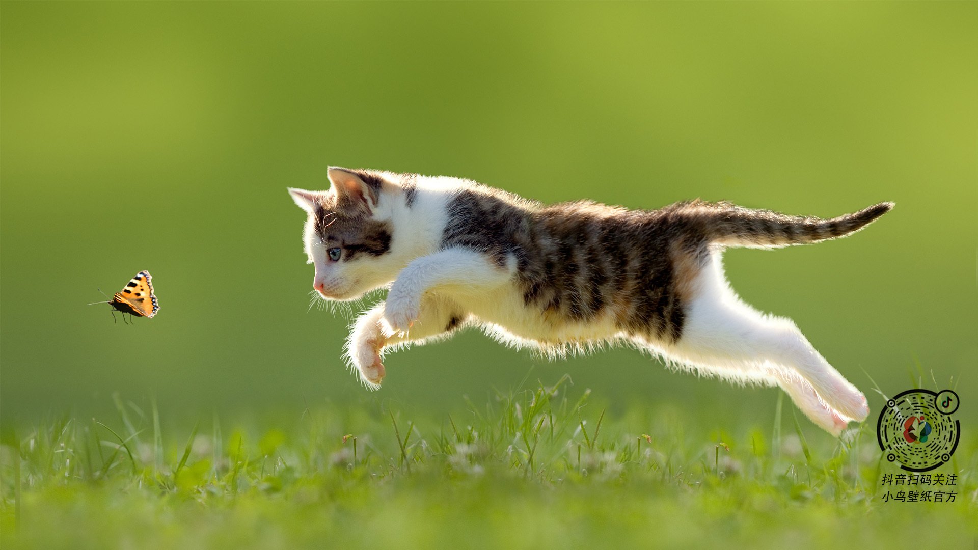 华体会登录-当东方水墨遇上加泰罗尼亚足球，李刚仁的百场里程碑  第2张