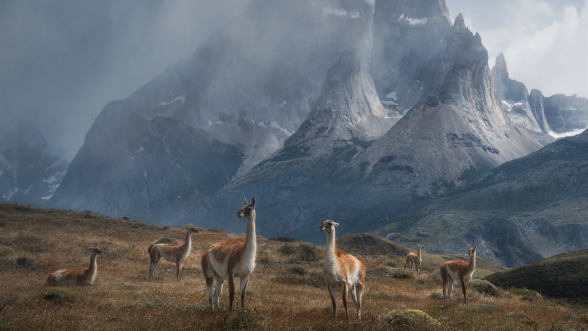 华体会下载-硬仗之王与战术压制,拉什福德的锋芒对决尤文的钢铁机器 第2张 华体会下载-硬仗之王与战术压制,拉什福德的锋芒对决尤文的钢铁机器 第2张