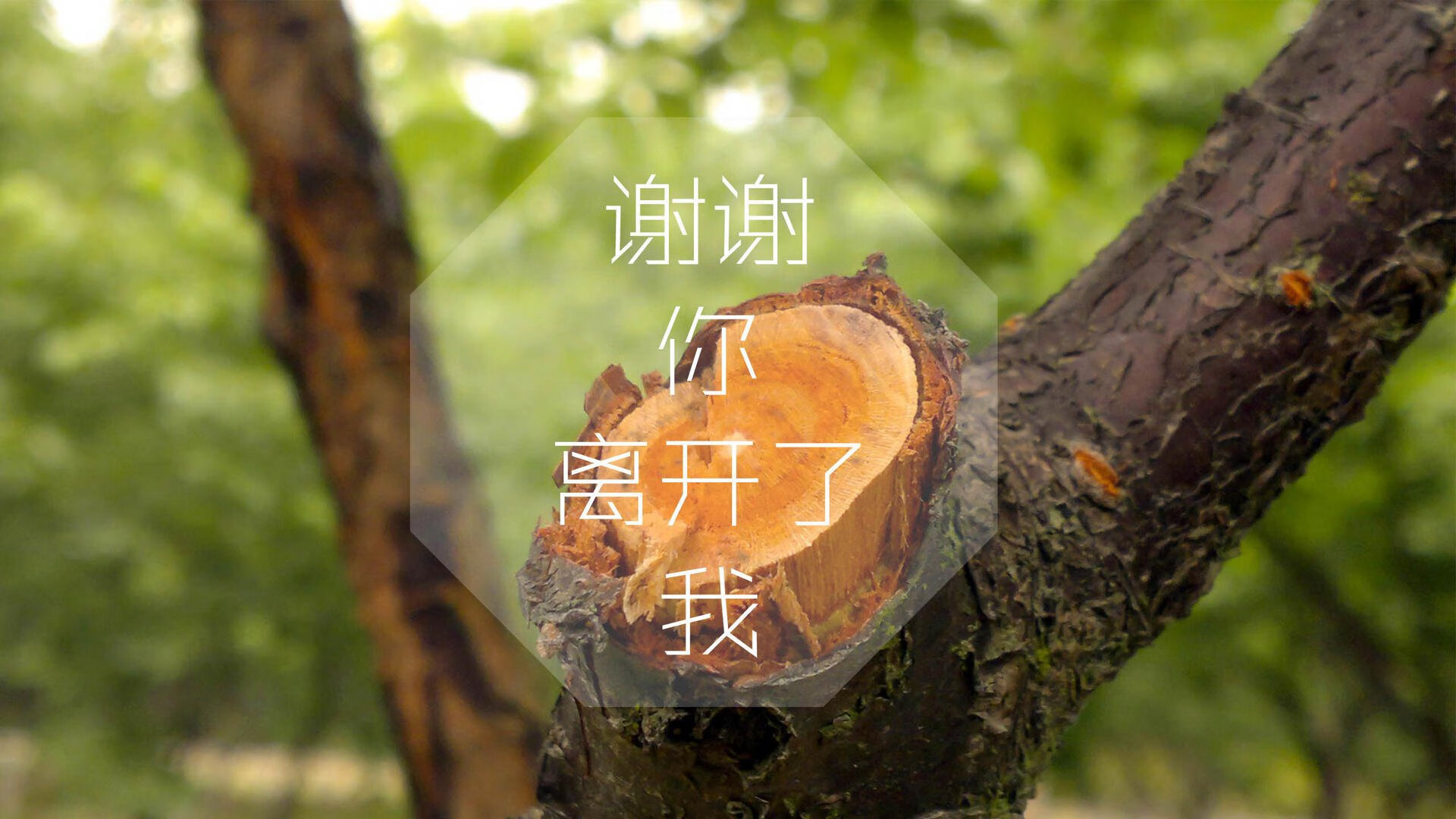 华体会-黑马狂飙，加纳碾压匈牙利，维尼修斯压哨绝杀书写2026世界杯传奇  第1张